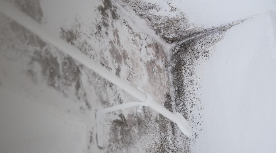 Why choose water damage restoration service for commercial water damage restoration in Hamilton